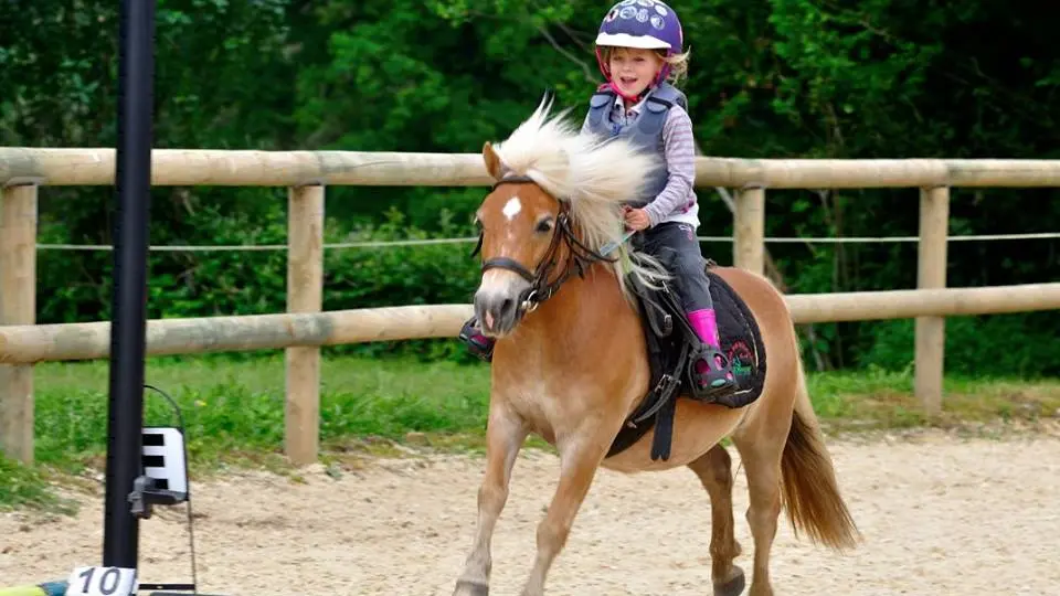 CENTRE EQUESTRE CHAPELLE CECELIN