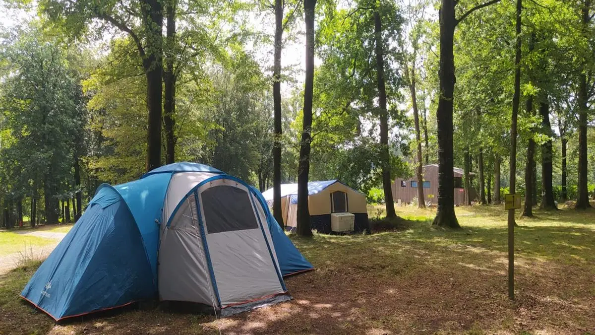 Camping Etape en foret St Sever Calvados (TIS) (4)