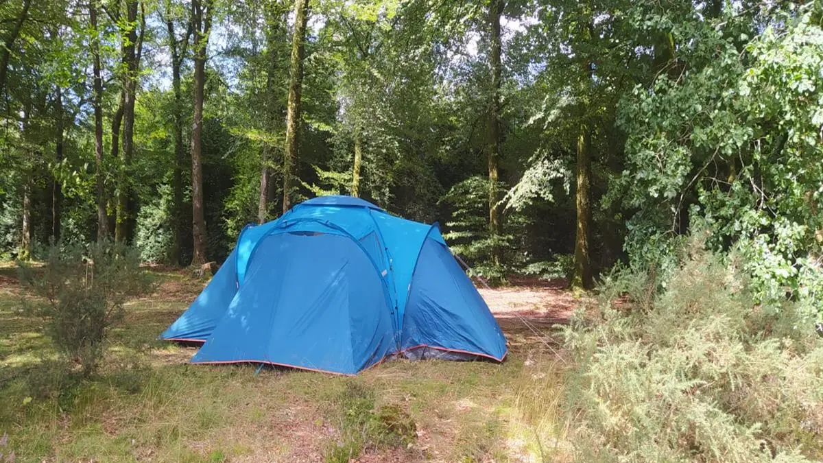 Camping Etape en foret St Sever Calvados (TIS) (3)