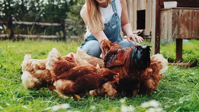 Camping-longueville-O2-camping-12