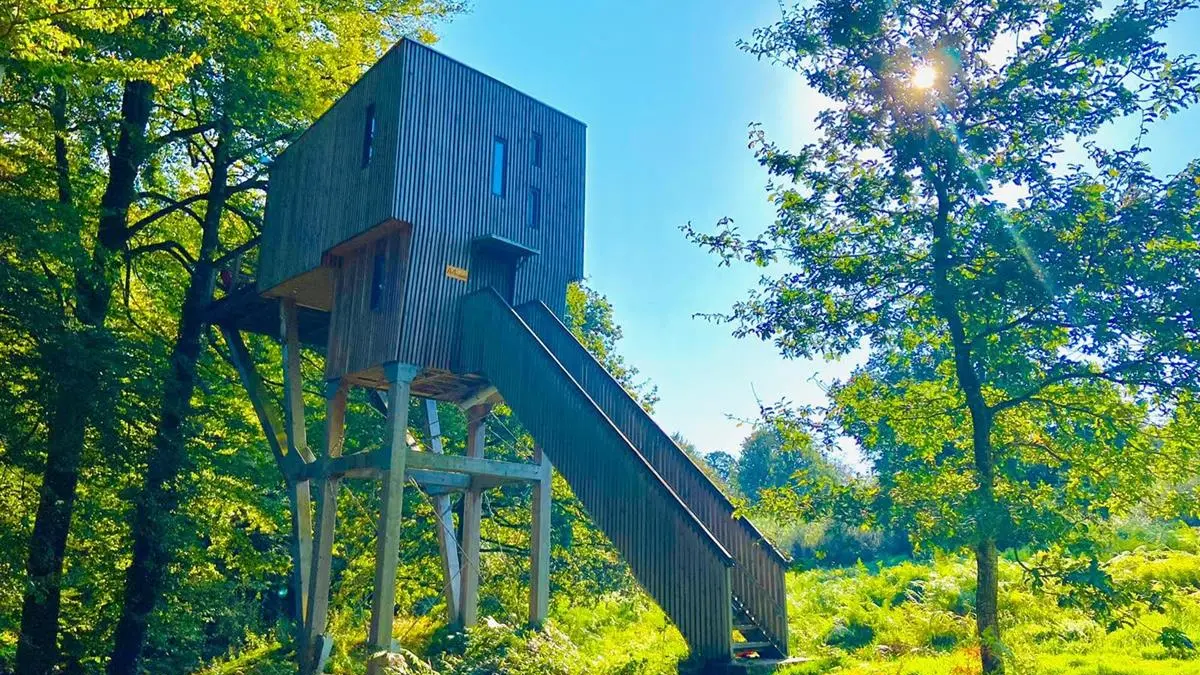 Cabane arbre (Copy)