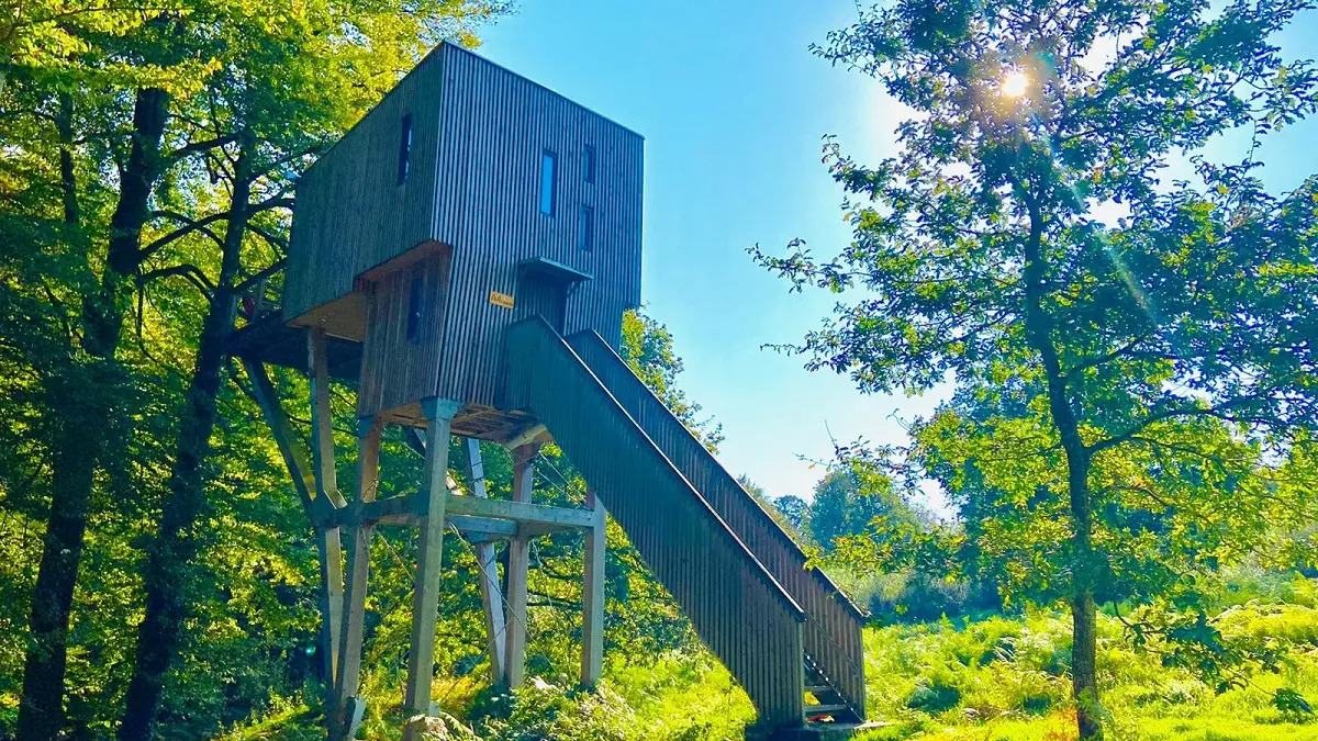 Cabane automne