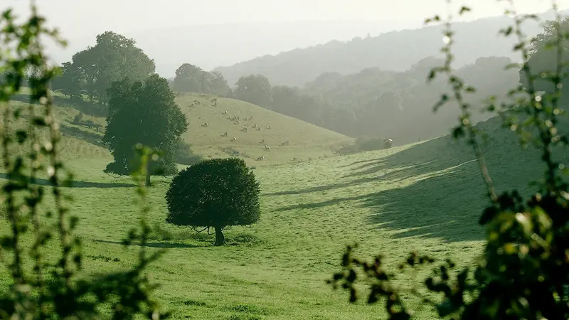 Paysage du Bocage Normand - Calvados