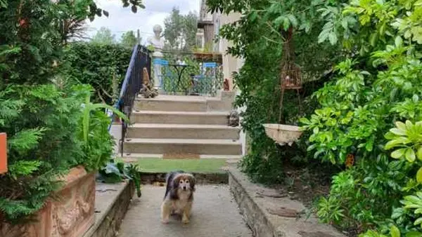 Chambres dhotes coutances domaine vaudon reuter kirsten (4)