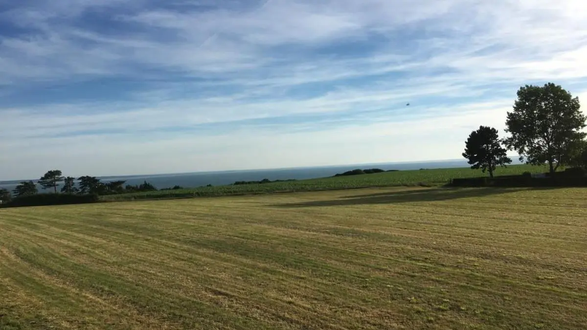 Champeaux-lemoine-gite-des-falaises-08