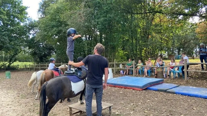 Cours Baby poney