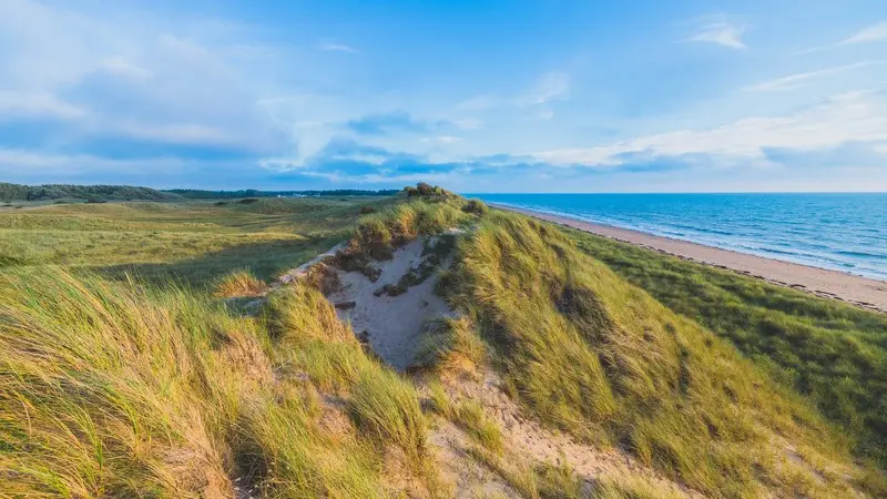 Dunes d'annoville teddy bear photos (11)