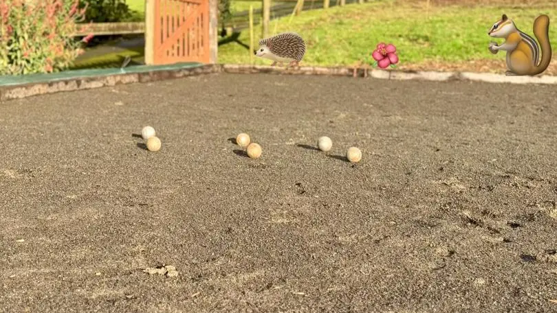 Du Rochelu dans la Baie du Mont Saint-Michel