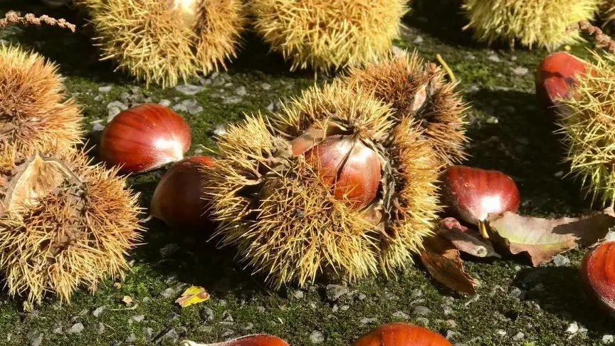 Du Rochelu dans la Baie du Mont Saint-Michel