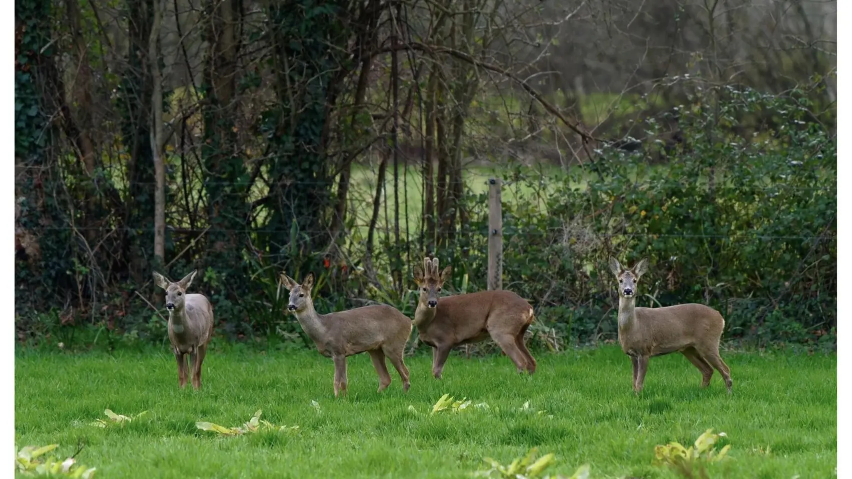 Du Rochelu dans la Baie du Mont Saint-Michel