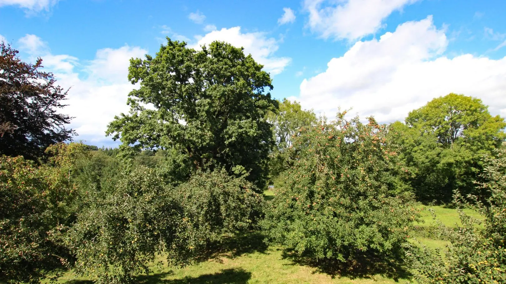 La Maison du Ptit Fermier