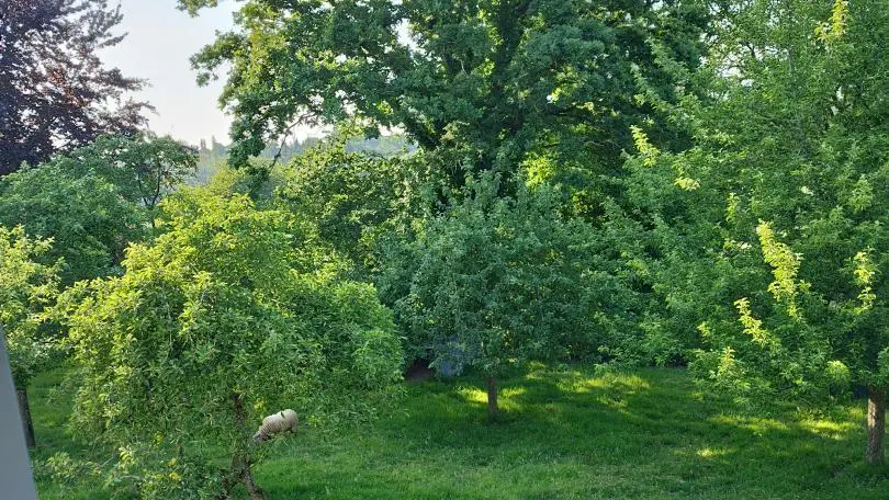 La Maison du Ptit Fermier