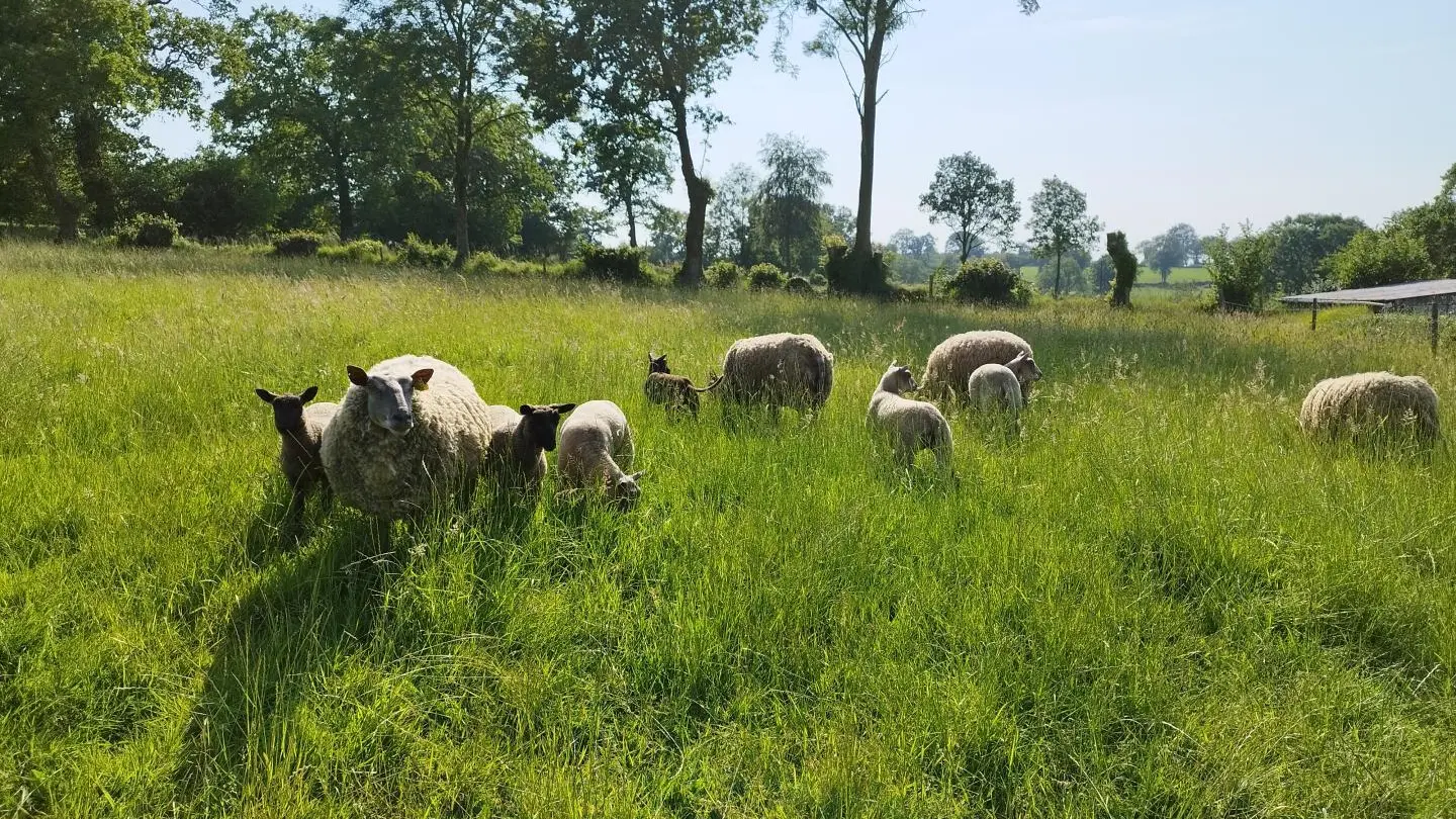 La Maison du Ptit Fermier