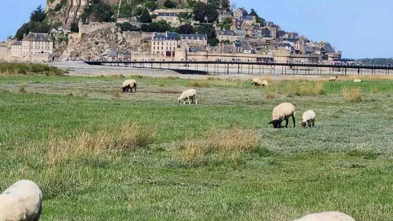 Jullou côté jardin