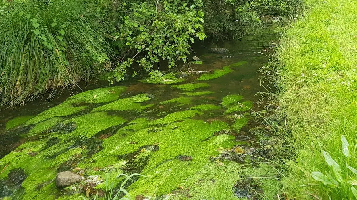 Le Moulin d'Airou