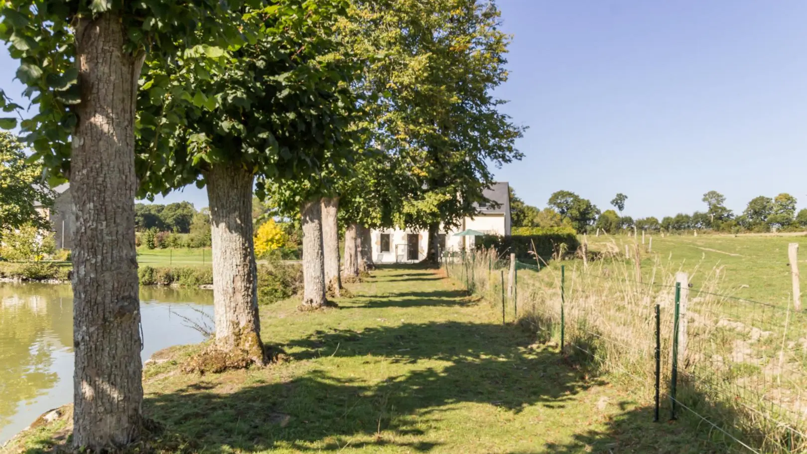 L'Etang aux Tilleuls