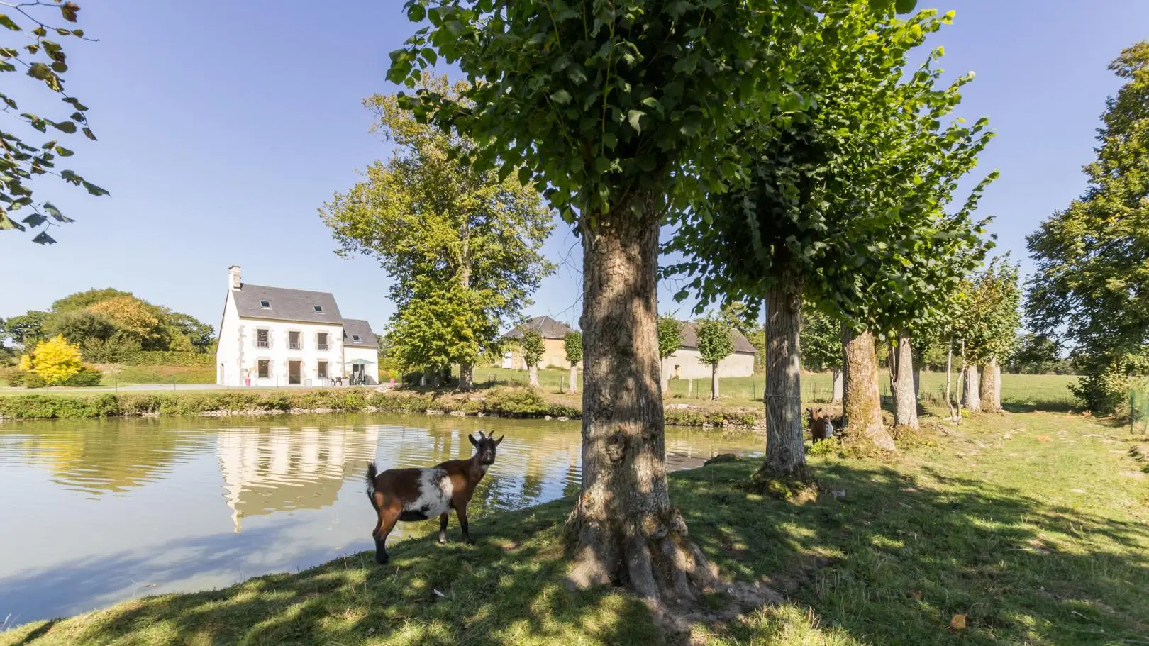 L'Etang aux Tilleuls