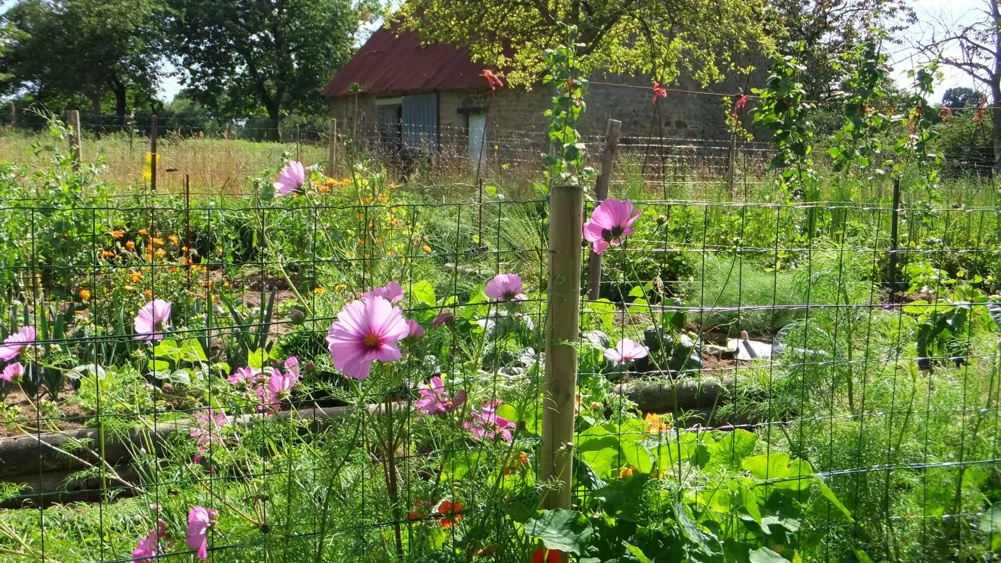 La Pinçonnière
