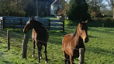 La Ferme de Montaigu