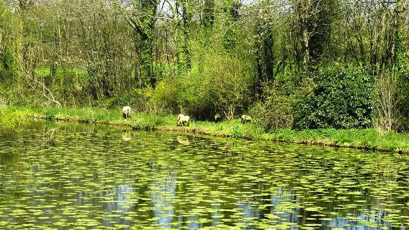 Au Verger Fleuri