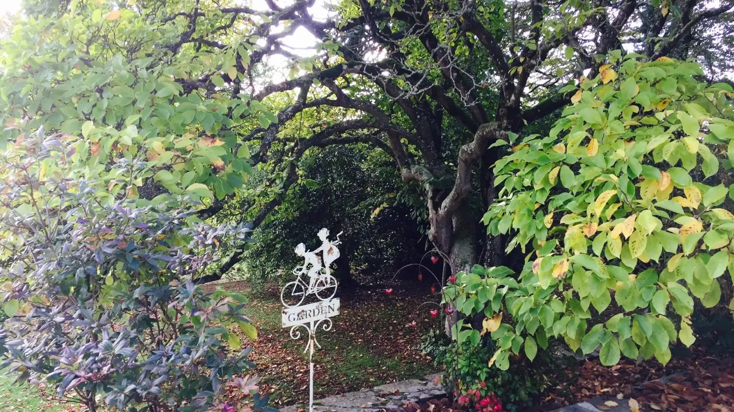 La Petite Hamelière