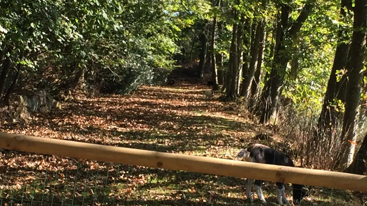 La Petite Hamelière