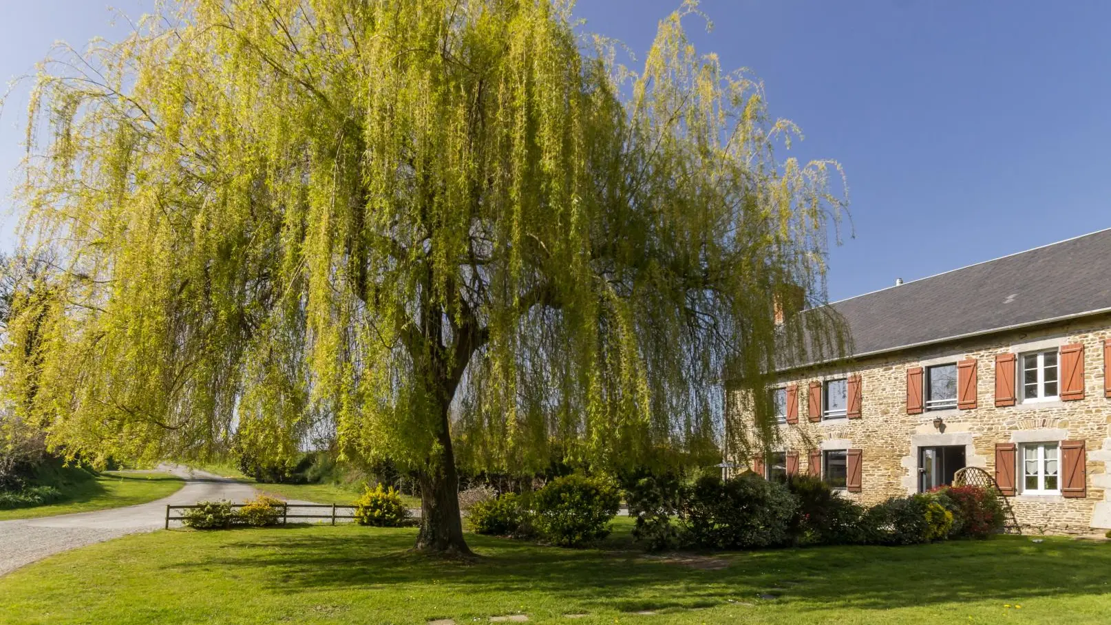 Le Grand Saule