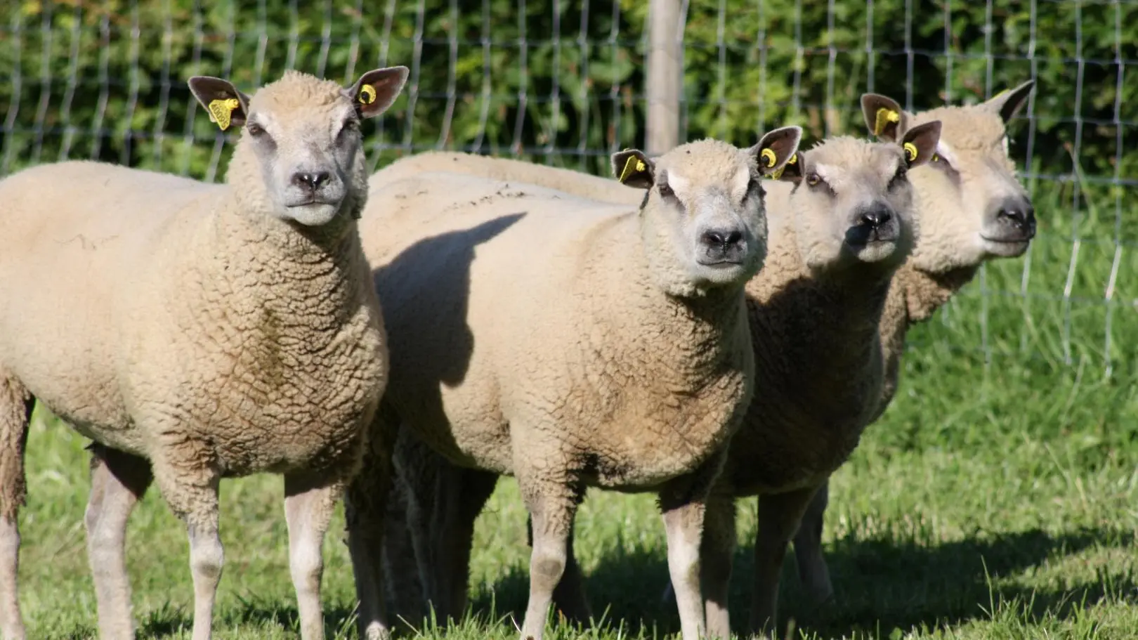 Domaine des Philautins