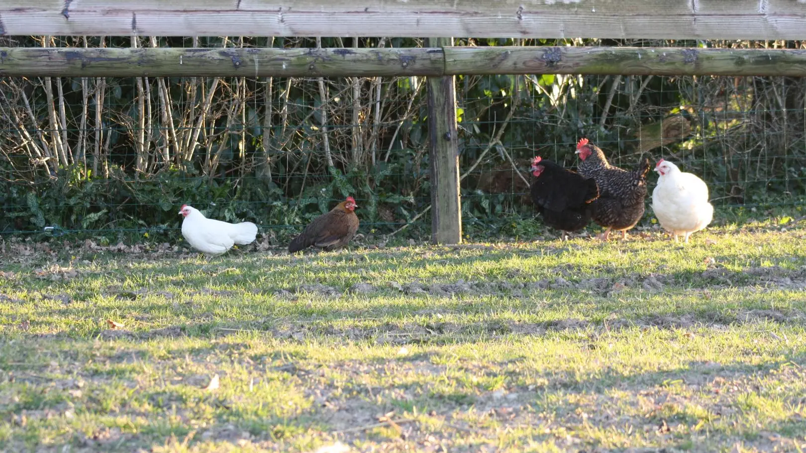 Domaine des Philautins