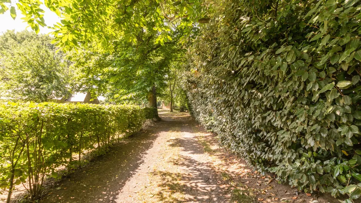 Domaine des Philautins