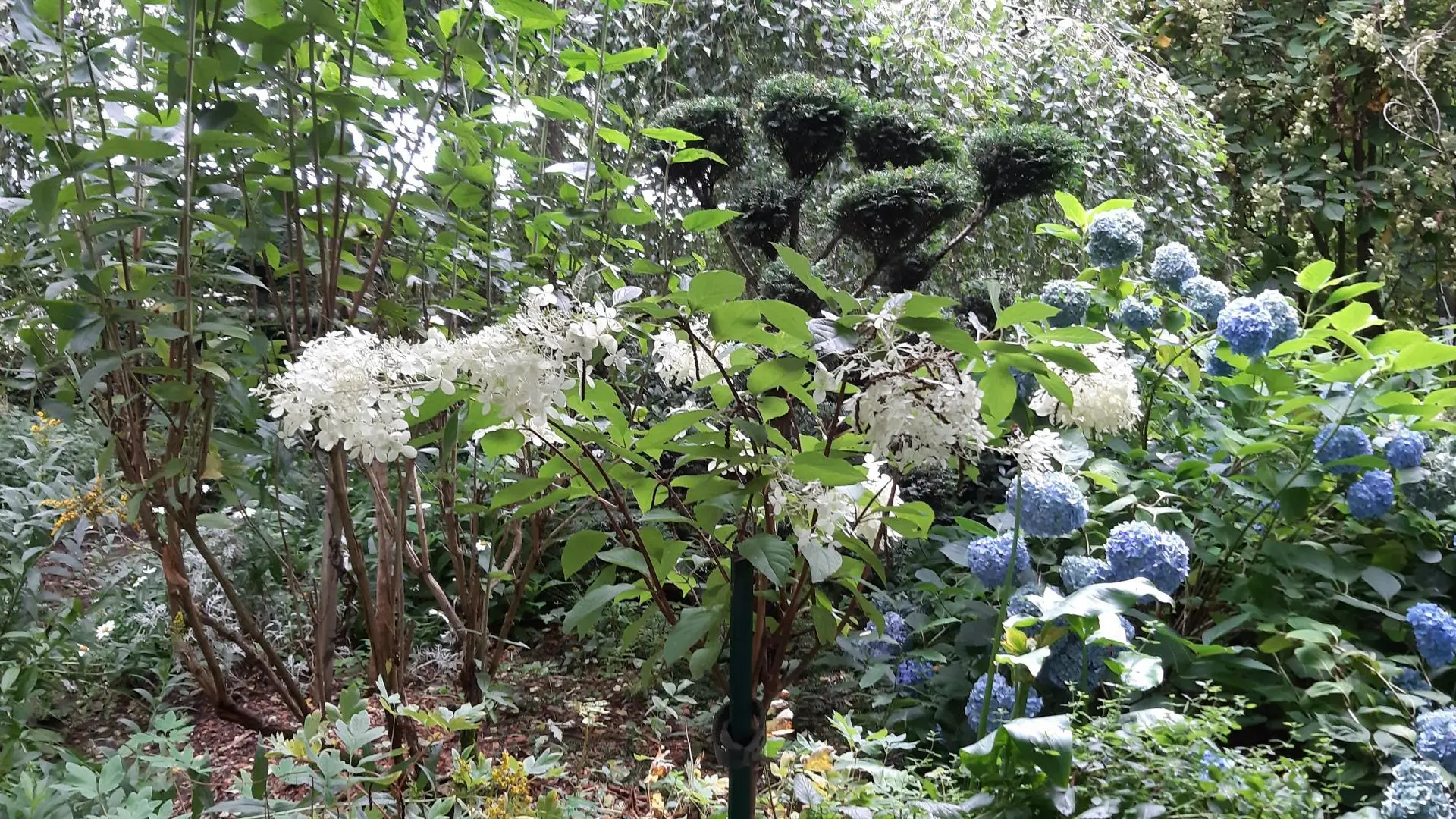 Gite de la Bourgeoisie