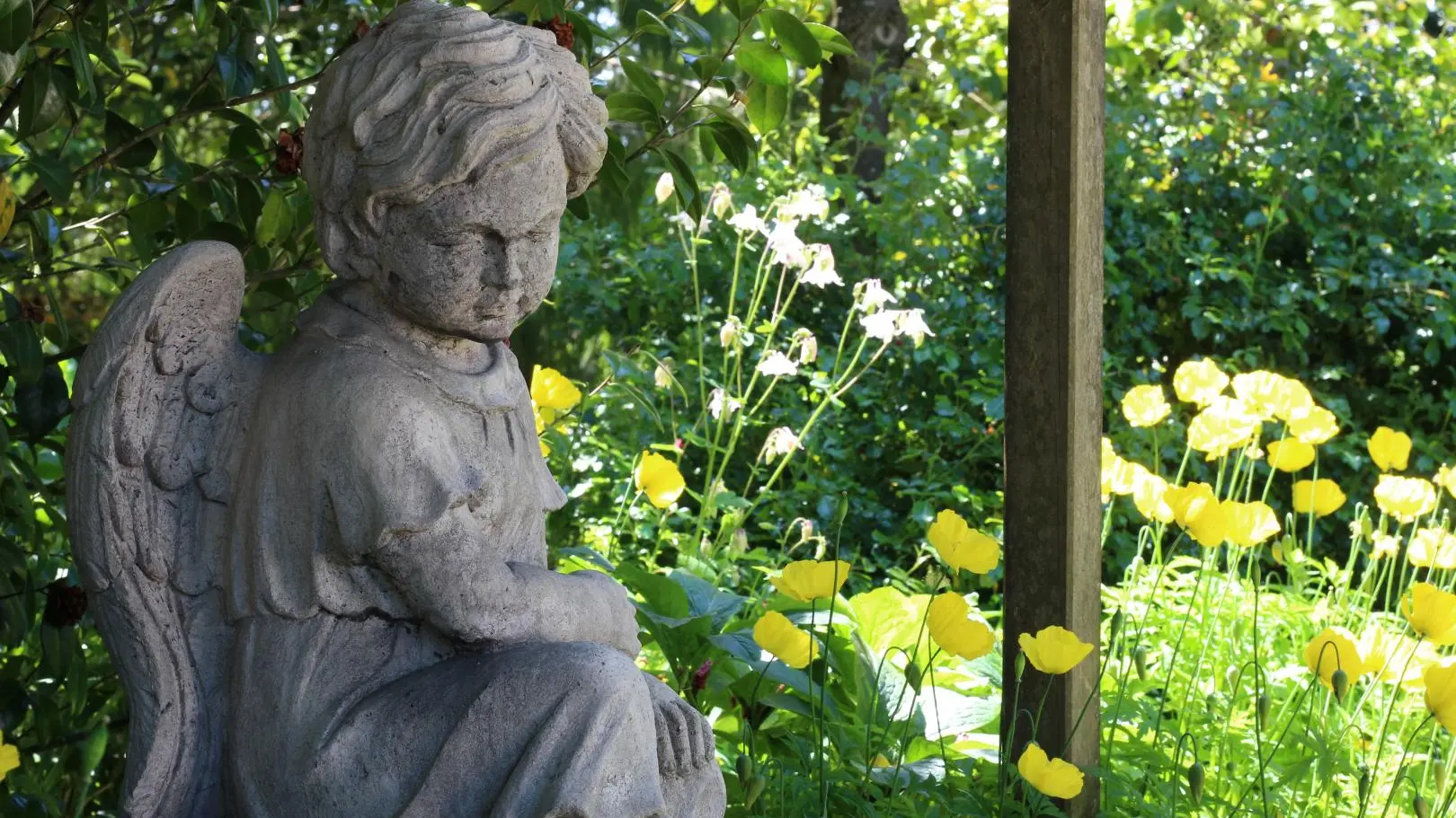 Gite de la Bourgeoisie