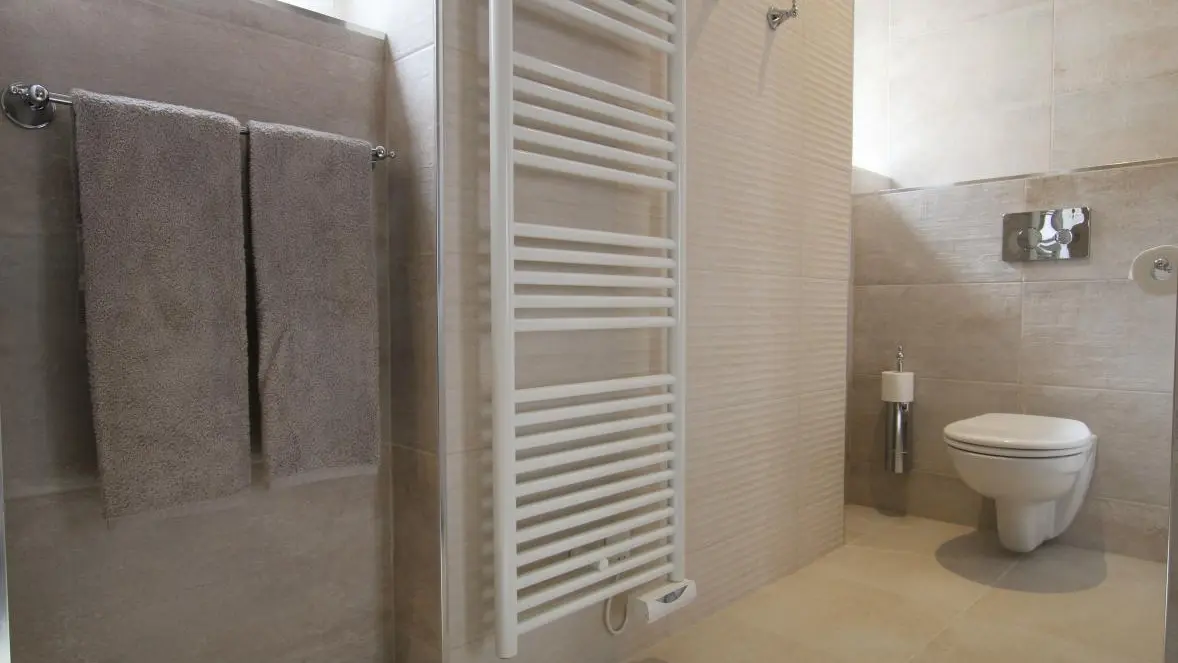 Alexis de Tocqueville