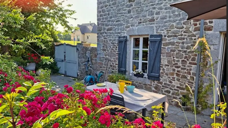 Gite - hyenville - mouton (9)