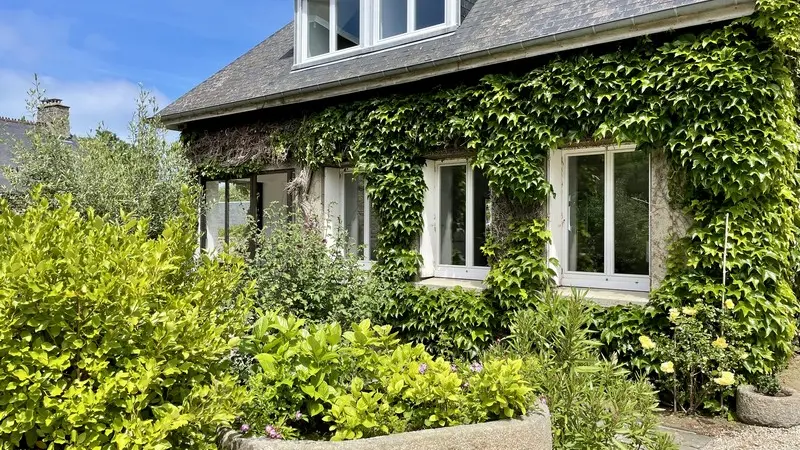 Gite Agon-Coutainville- Poulet (12)