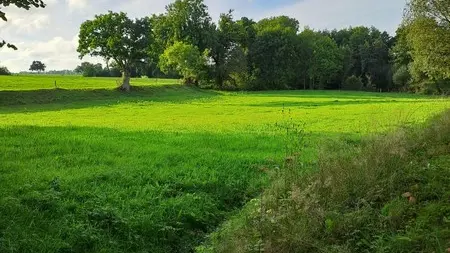 Gite notre dame de cenilly simonel joelle la petite vauterie (10)