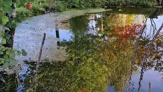 Gite notre dame de cenilly simonel joelle la petite vauterie (12)