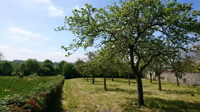 Gite orval sur sienne montchaton macours pascale les pommiers (6)