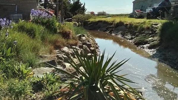 Gite gouville sur mer la maison arnaud marie line 15