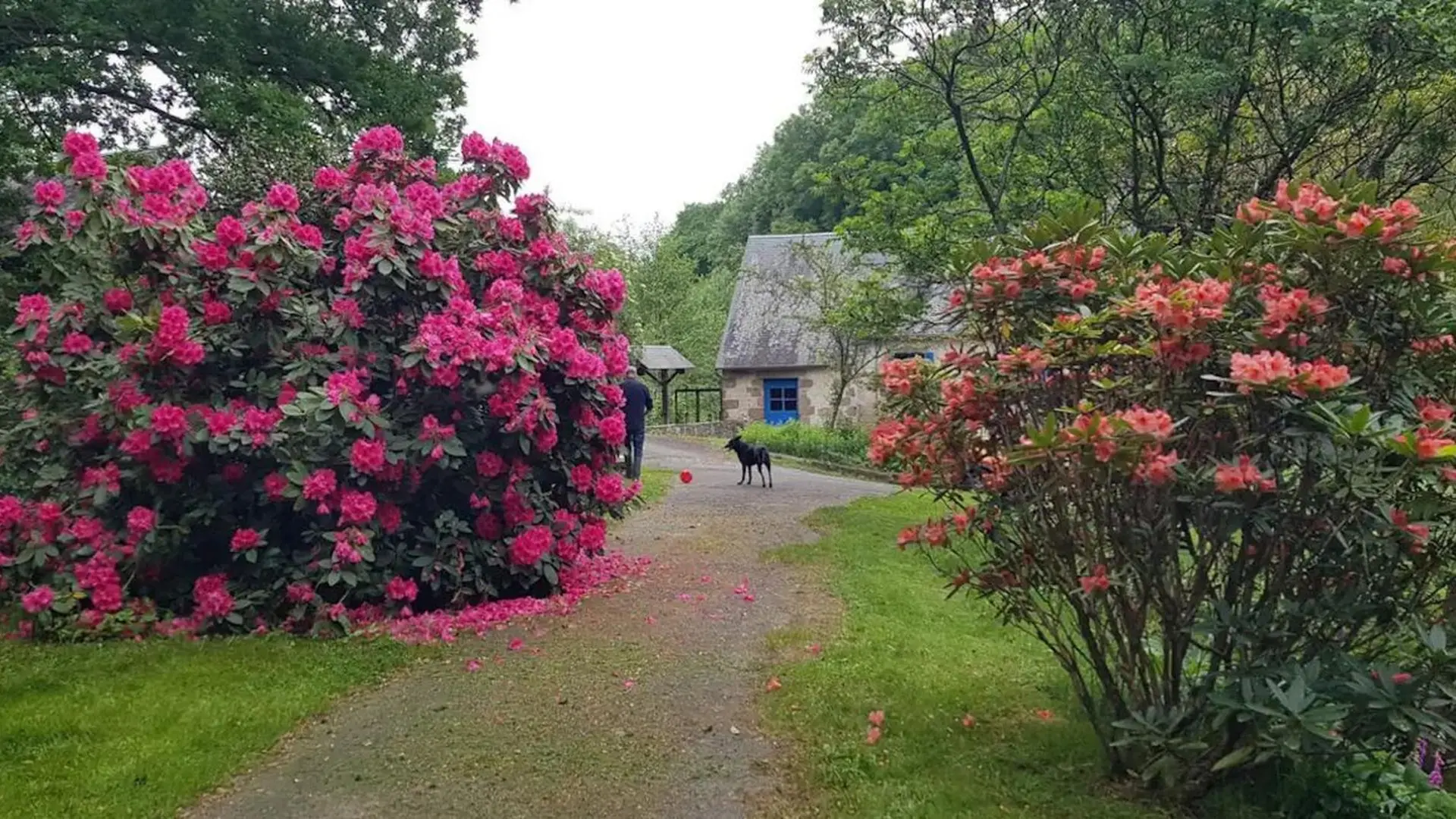 Le Moulin d'Airou