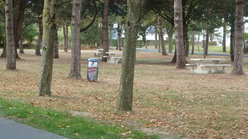 Hauteville sur mer - Avenue de l'Aumesle - Aire de pique nique (17)