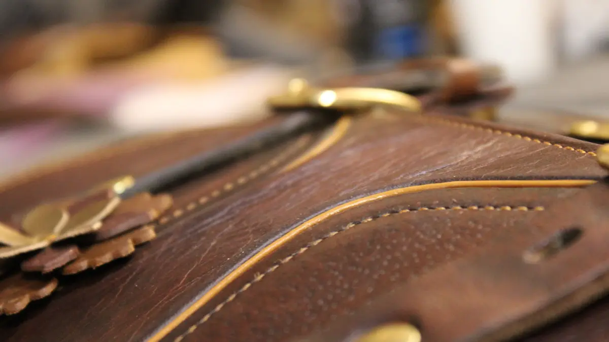 Les Petits Batraciens