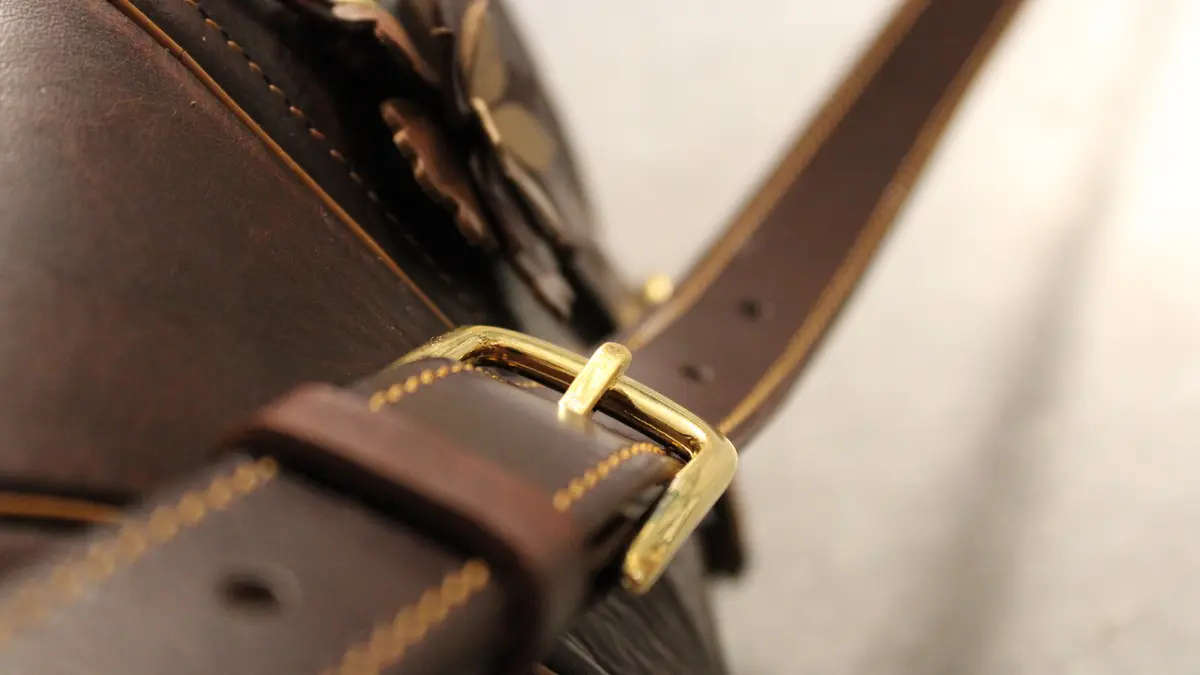 Les Petits Batraciens