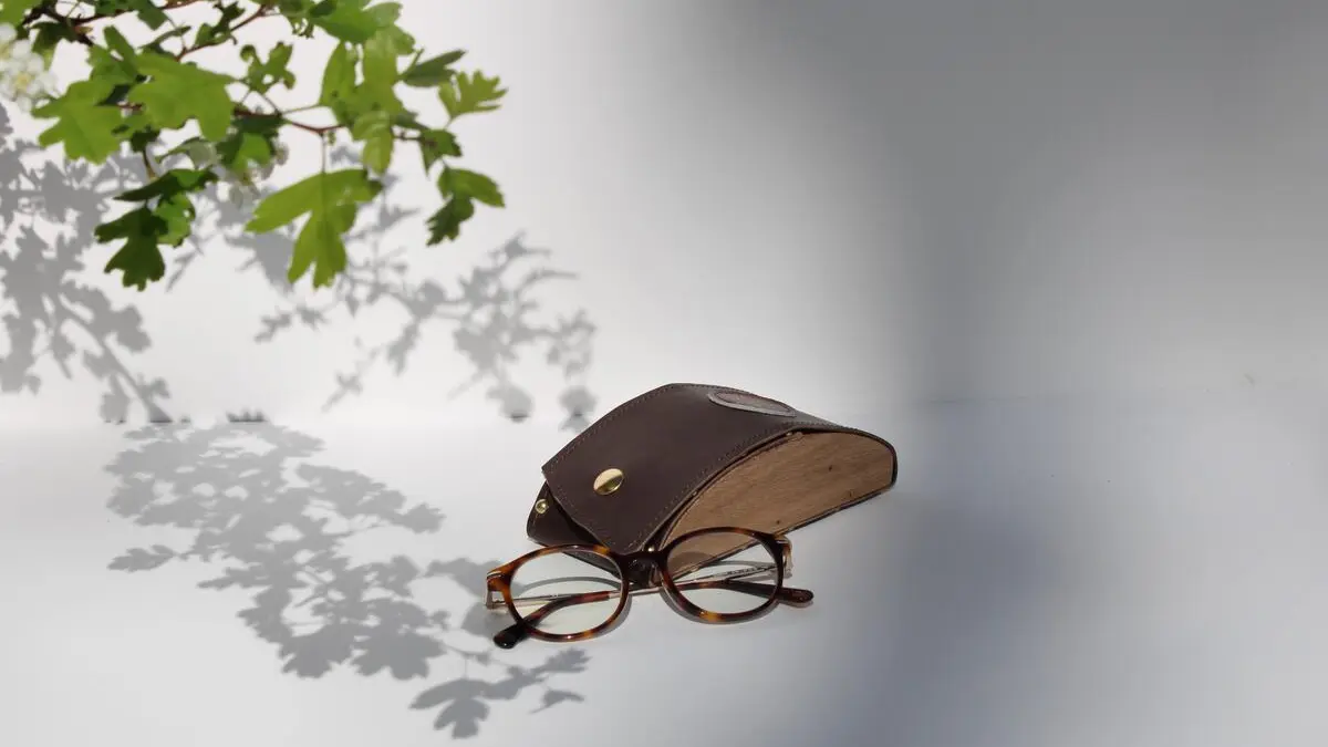 Les Petits Batraciens