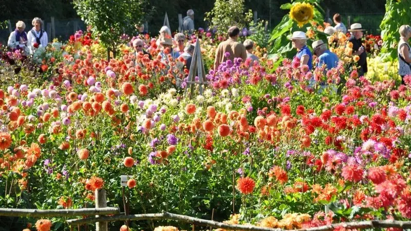 Jardins-en-liberte-5