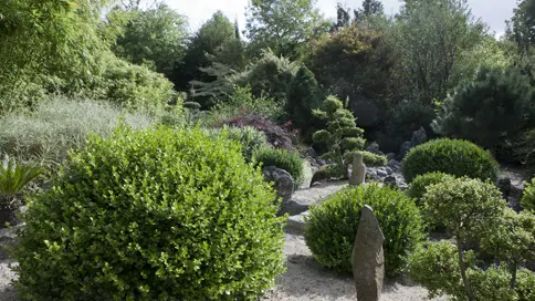 Montcuit_Jardin La Guesnoniere 2©Cotentin Côté Jardins