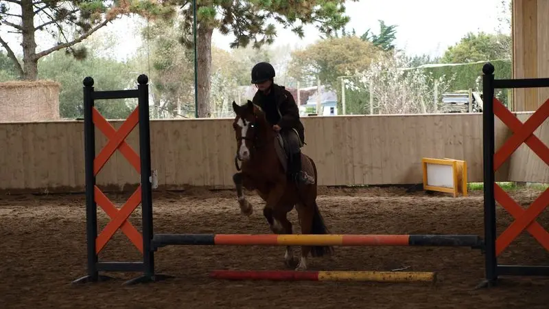 Centre Equestre d'Hauteville-sur-Mer_P1014201 [800x600]