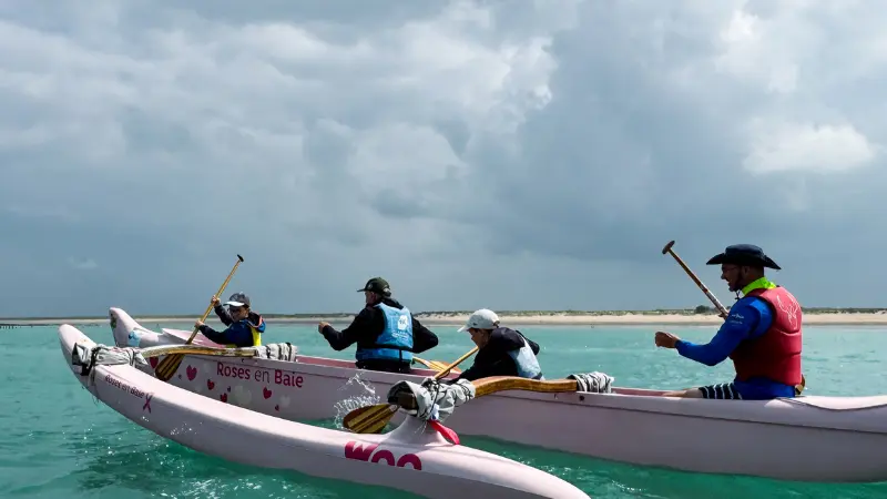 Visuel pour OTI - Tourninsoft - PIR 1