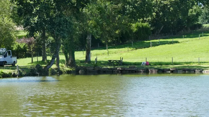 Patrimoine naturel montaigu les bois etangs (4)