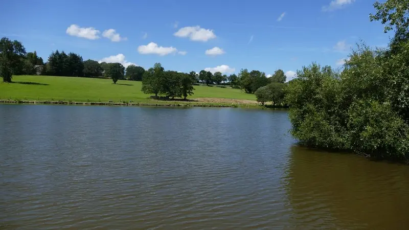 Patrimoine naturel montaigu les bois etangs (6)